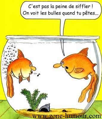 .....bloup !